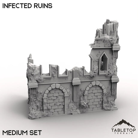 Tabletop Terrain Ruins Infected Ruins