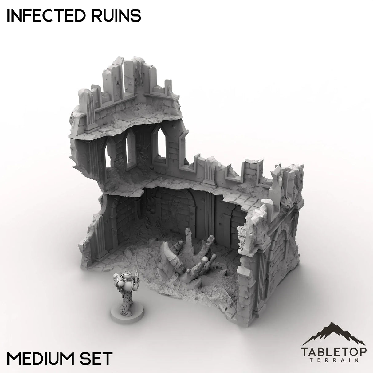 Tabletop Terrain Ruins Infected Ruins