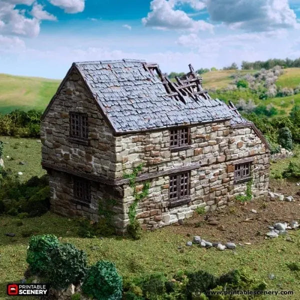 Tabletop Terrain Ruins Ruined Hollyhock Cottage - Country & King - Fantasy Historical Ruins