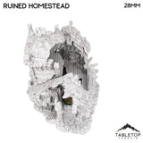 Tabletop Terrain Ruins Ruined Homestead - Hagglethorn Hollow - Fantasy Ruins