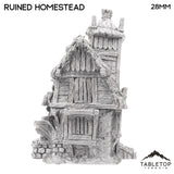 Tabletop Terrain Ruins Ruined Homestead - Hagglethorn Hollow - Fantasy Ruins