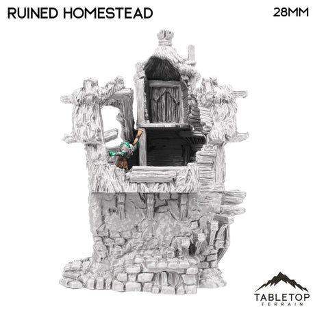Tabletop Terrain Ruins Ruined Homestead - Hagglethorn Hollow - Fantasy Ruins