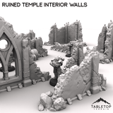 Tabletop Terrain Ruins Ruined Temple Interior Walls