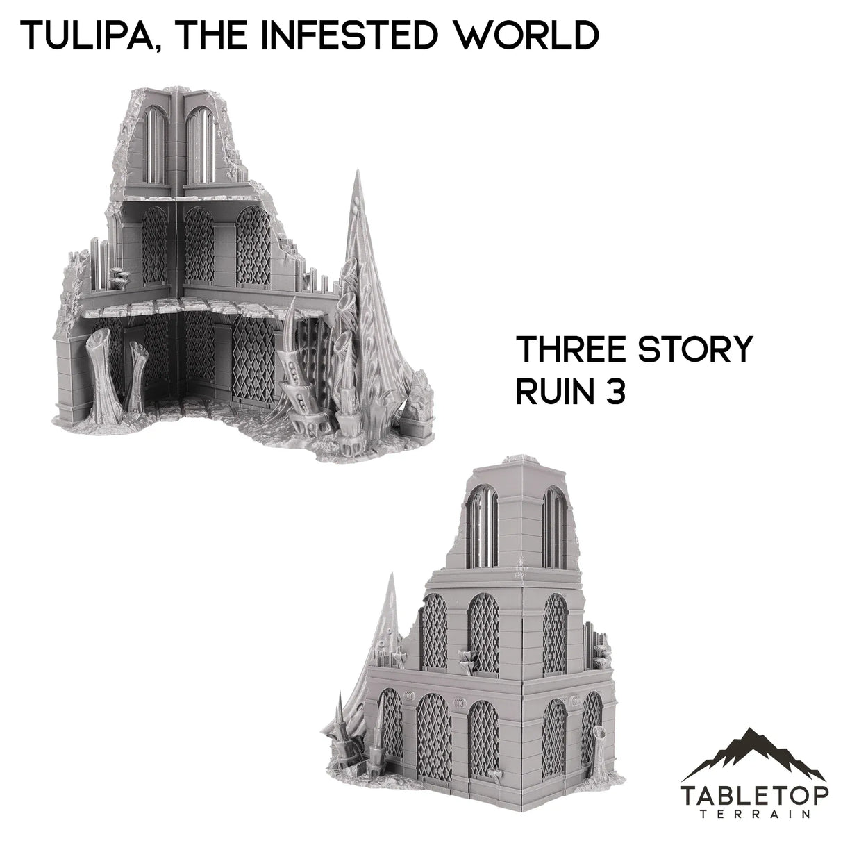 Tabletop Terrain Terrain 28/32mm / Three Story Ruin 3 Tulipa, The Infested World