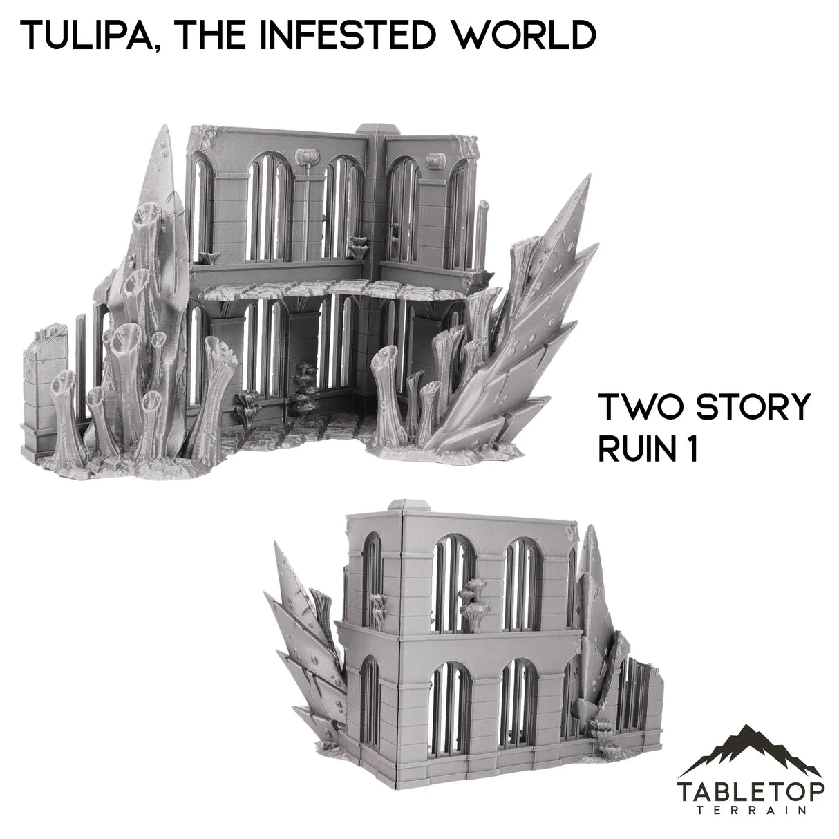 Tabletop Terrain Terrain 28/32mm / Two Story Ruin 1 Tulipa, The Infested World