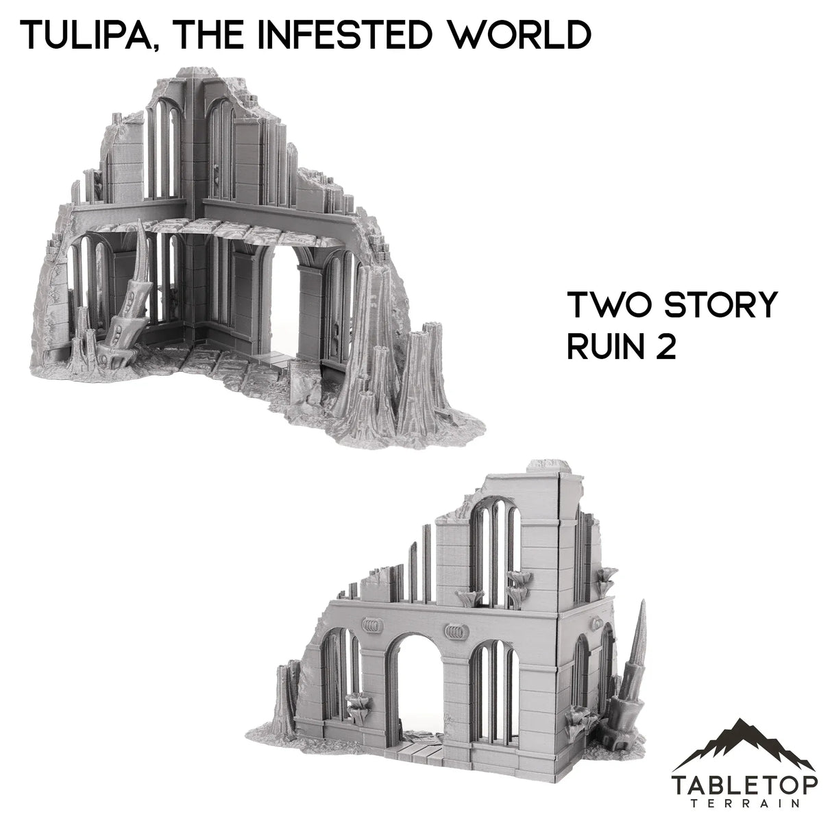 Tabletop Terrain Terrain 28/32mm / Two Story Ruin 2 Tulipa, The Infested World