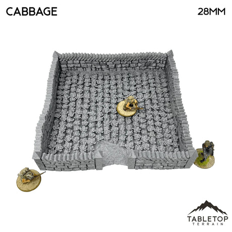 Tabletop Terrain Terrain 32mm / Cabbage Farm Fields - Country & King - Fantasy Historical Terrain