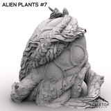 Tabletop Terrain Terrain 32mm / Plant 7 Alien Plants