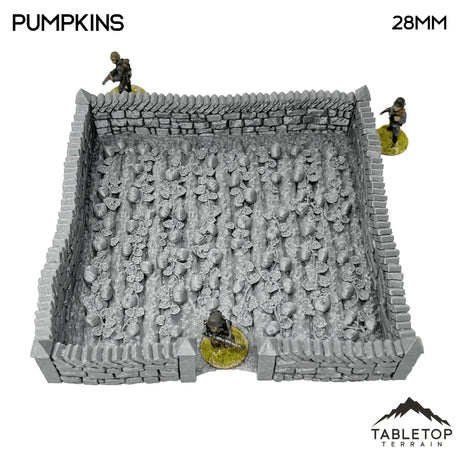 Tabletop Terrain Terrain 32mm / Pumpkin Farm Fields - Country & King - Fantasy Historical Terrain