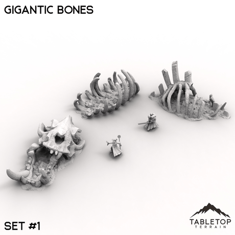 Tabletop Terrain Terrain 32mm / Set 1 Gigantic Bones