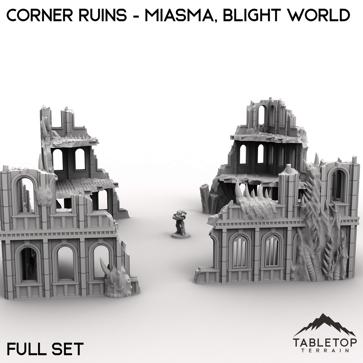 Tabletop Terrain Terrain Corner Ruins - Miasma, Blight World