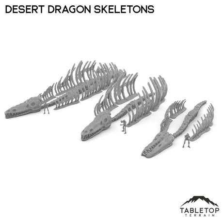 Tabletop Terrain Terrain Desert Dragon Skeletons