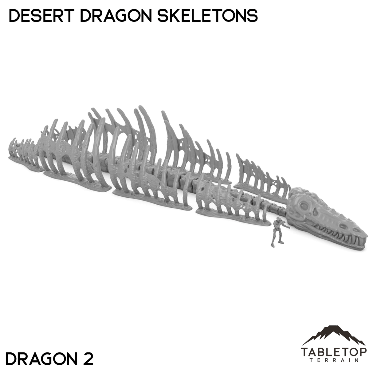 Tabletop Terrain Terrain Desert Dragon Skeletons