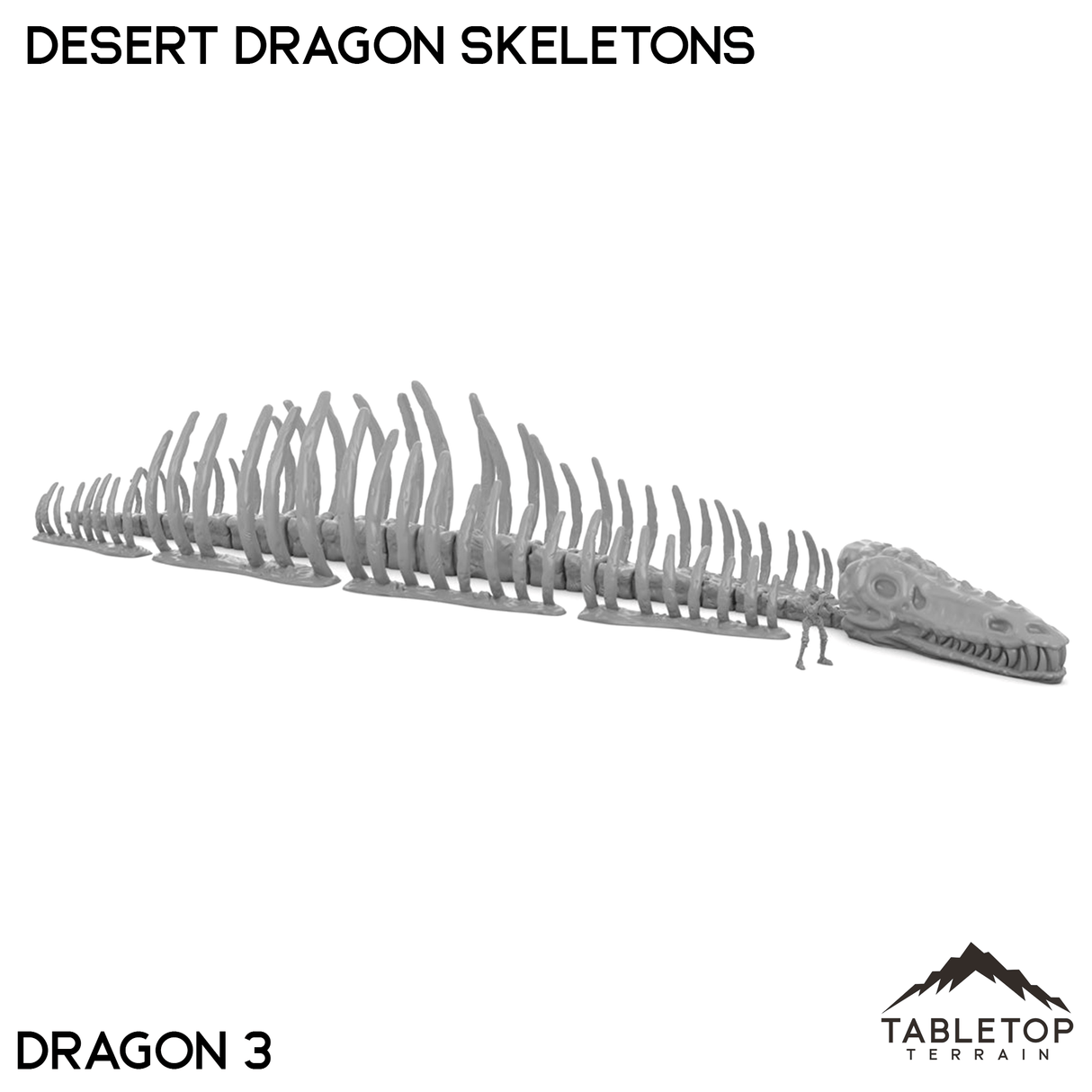 Tabletop Terrain Terrain Desert Dragon Skeletons