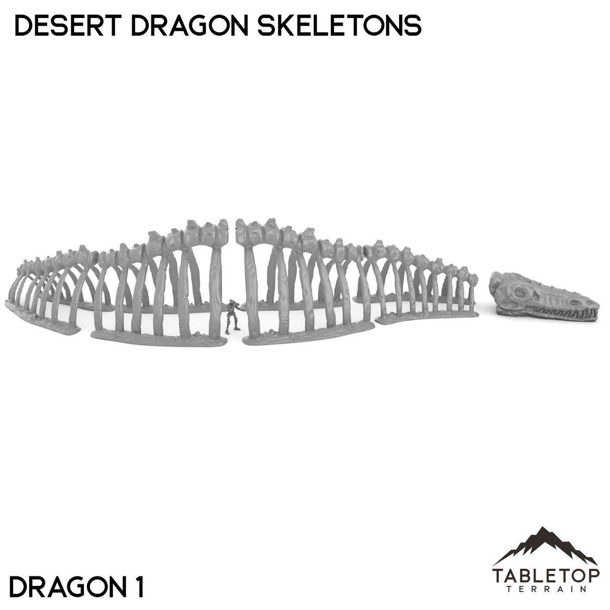 Tabletop Terrain Terrain Desert Dragon Skeletons