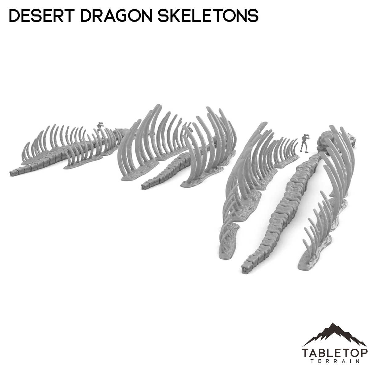 Tabletop Terrain Terrain Desert Dragon Skeletons