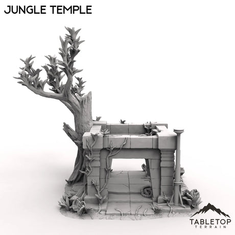 Tabletop Terrain Terrain Jungle Temple