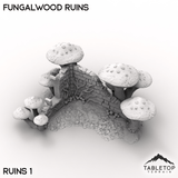 Tabletop Terrain Terrain Ruins 1 / 32mm Fungalwood Ruins