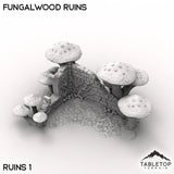 Tabletop Terrain Terrain Ruins 1 / 32mm Fungalwood Ruins