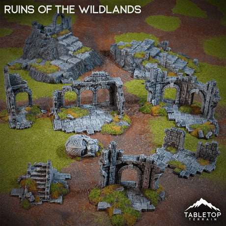 Tabletop Terrain Terrain Ruins of the Wildlands