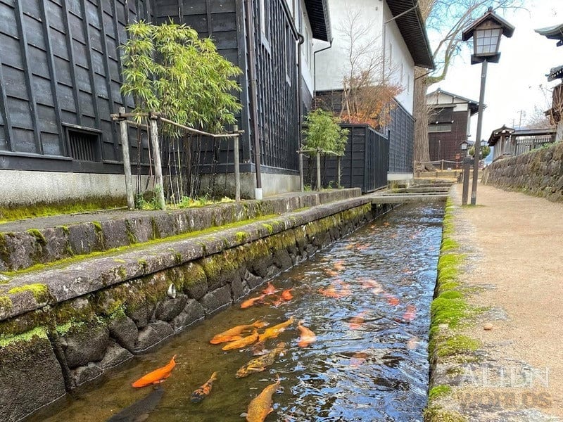 Tabletop Terrain Terrain Samurai Street Fish Ponds