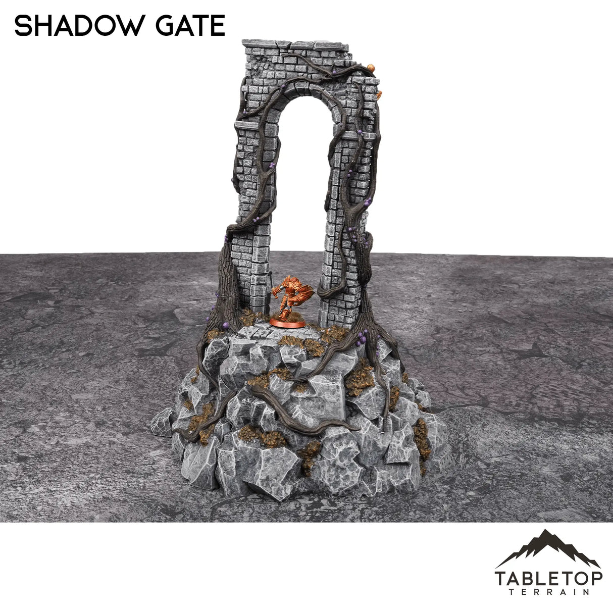 Tabletop Terrain Terrain Shadow Gate - Fantasy Terrain