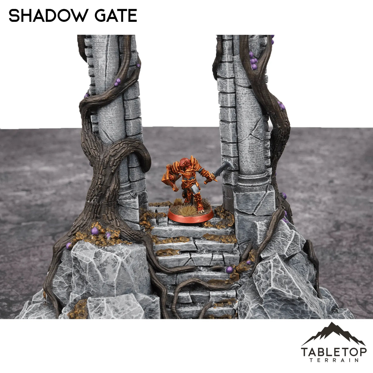 Tabletop Terrain Terrain Shadow Gate - Fantasy Terrain