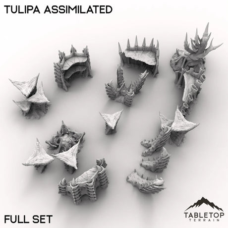 Tabletop Terrain Terrain Tulipa Assimilated