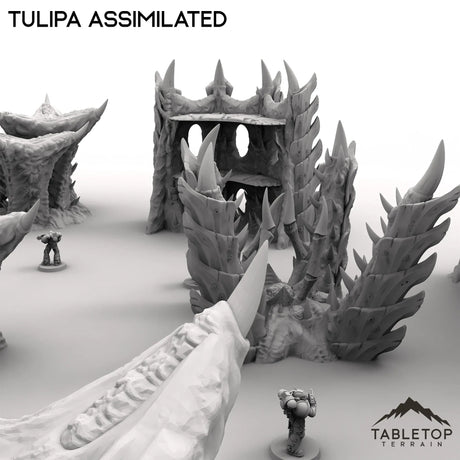 Tabletop Terrain Terrain Tulipa Assimilated