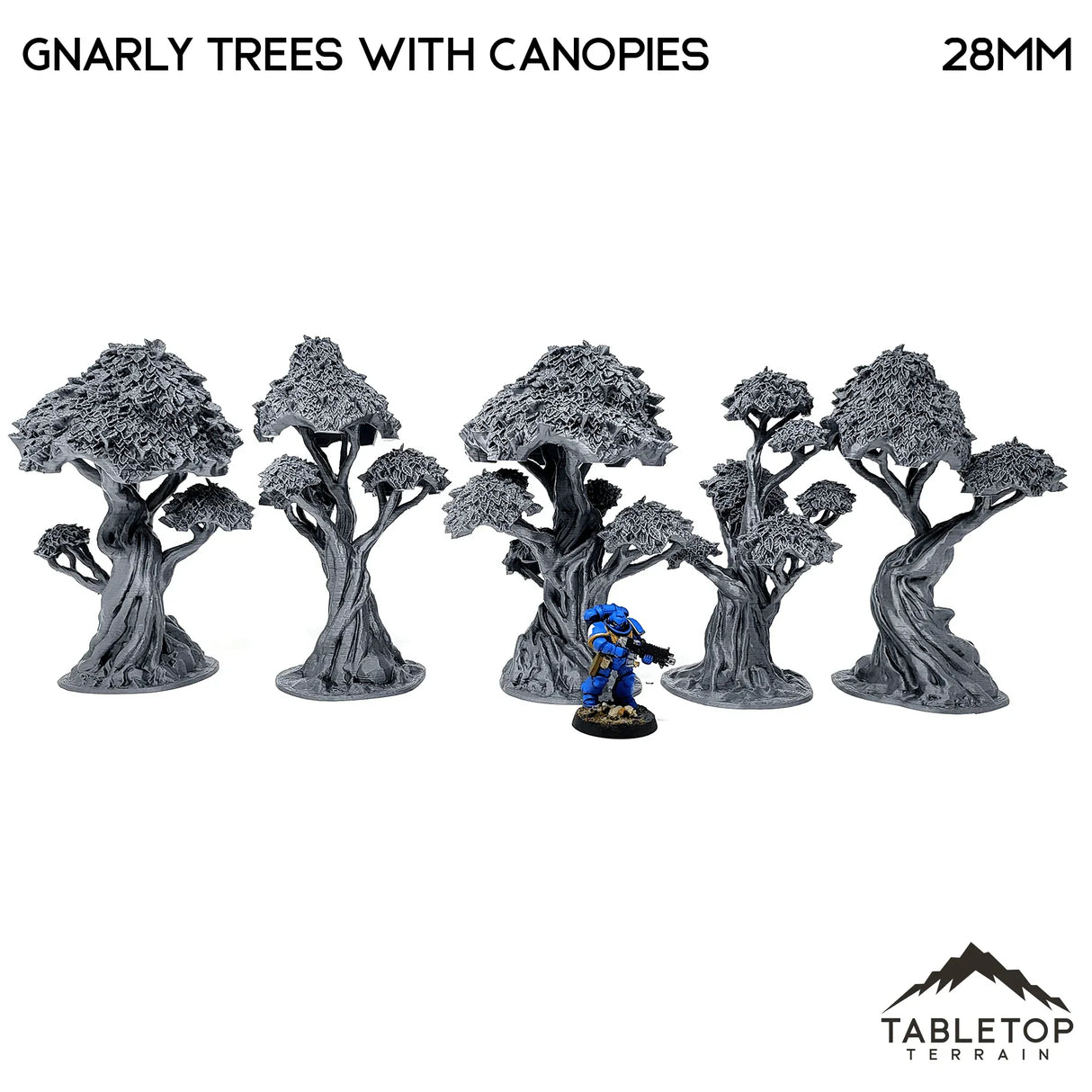 Tabletop Terrain Trees Gnarly Trees with Canopies - Scatter Terrain
