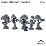 Tabletop Terrain Trees Gnarly Trees with Canopies - Scatter Terrain