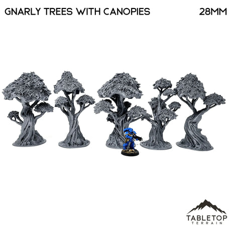 Tabletop Terrain Trees Gnarly Trees with Canopies - Scatter Terrain