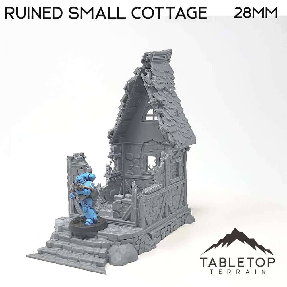 Ruiniertes kleines Cottage - Fantasy Ruinen