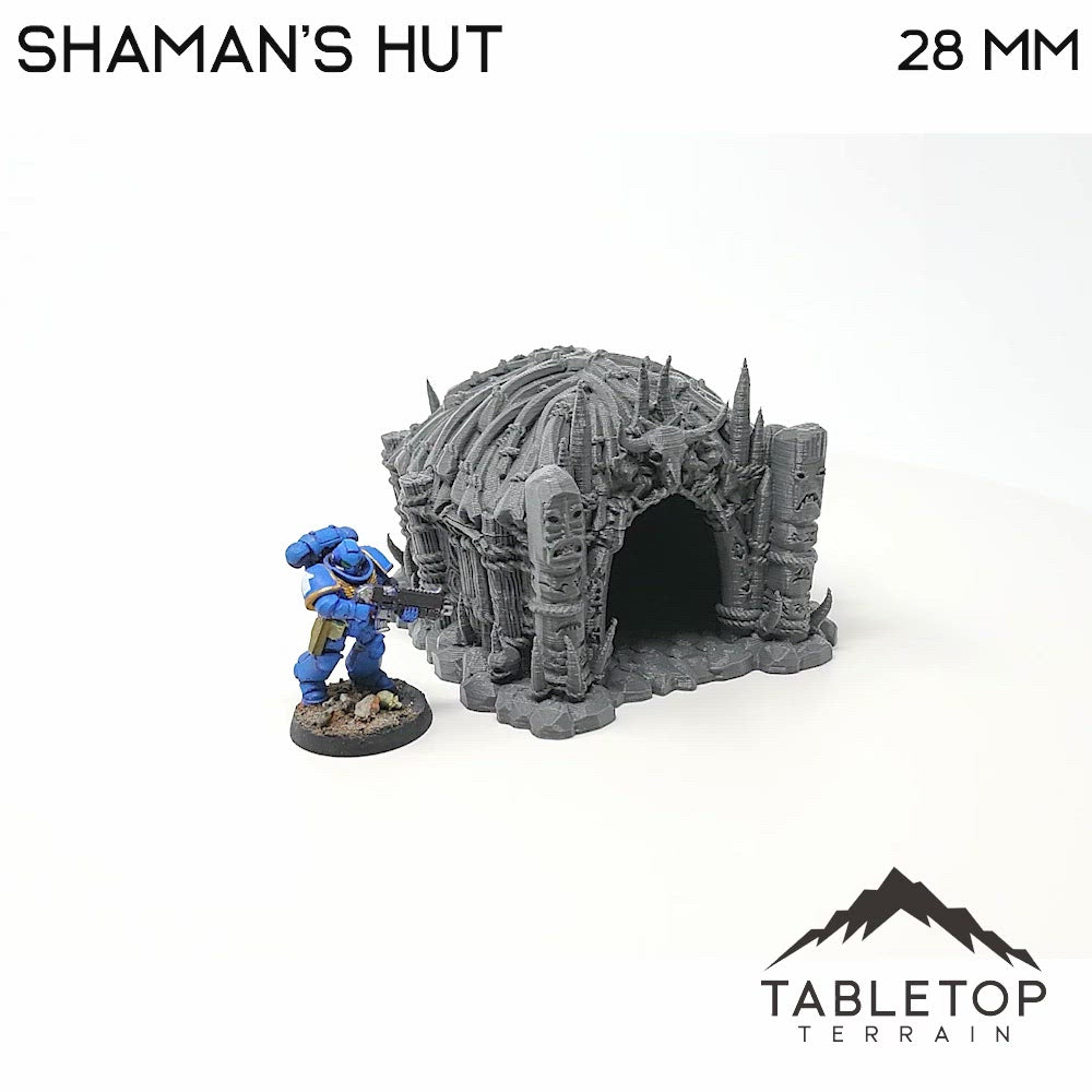 Shaman's Hut - Tribal Terrain