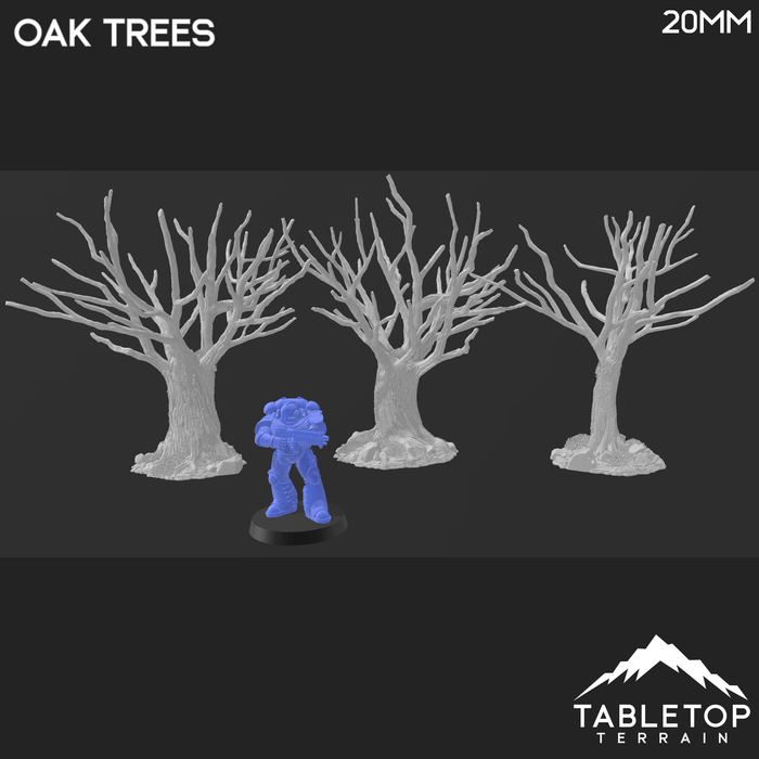 Tabletop Terrain Building Oak Trees - Country & King - Fantasy Historical Trees