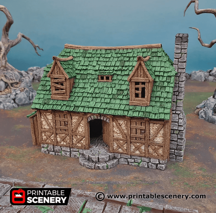 Tabletop Terrain Building Perfectly Normal House - Fantasy Building