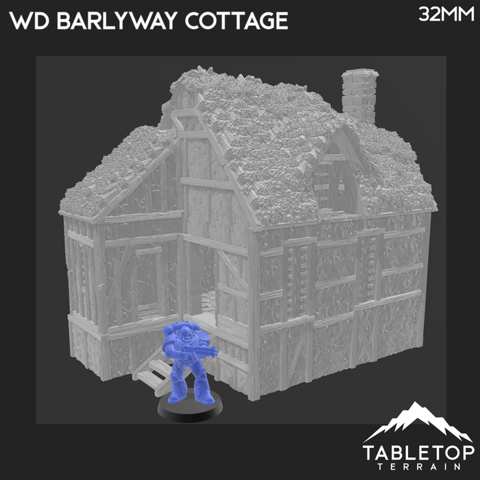 Tabletop Terrain Building Wattle and Daub Barlyway Cottage - Country & King - Fantasy Historical Building